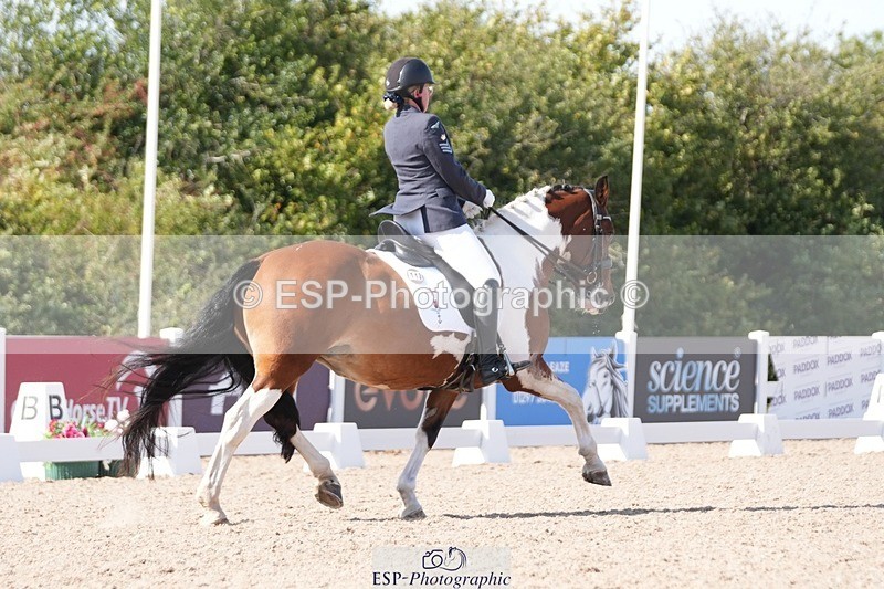 250906-151725-04715 - 112-Mel.DayDolderwydd.lucky.Maisie