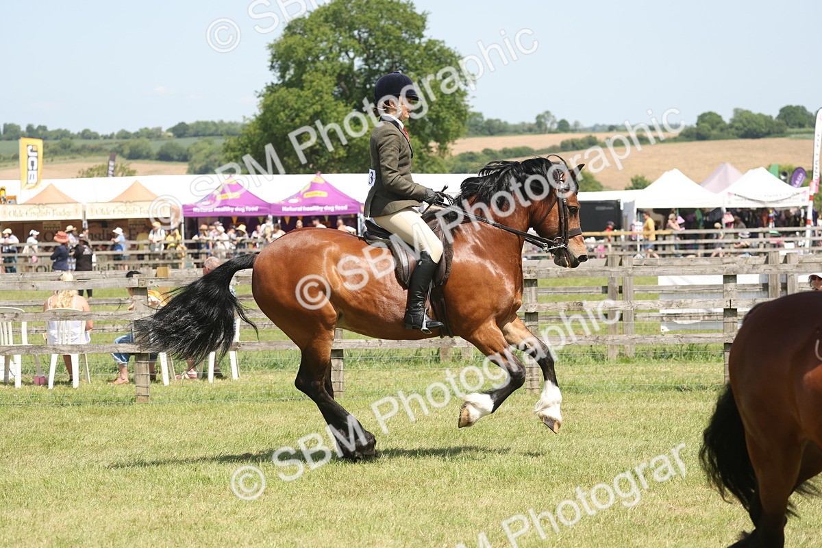 SBM_06914 - Class 26-30 - Mountain and Moorland Ridden