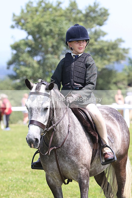 JPP_2592 - Class 21: Working Hunter 60cm