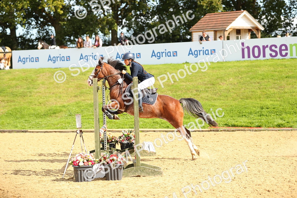 SBM_67911 - J17 - Junior Pony 80cm Championship