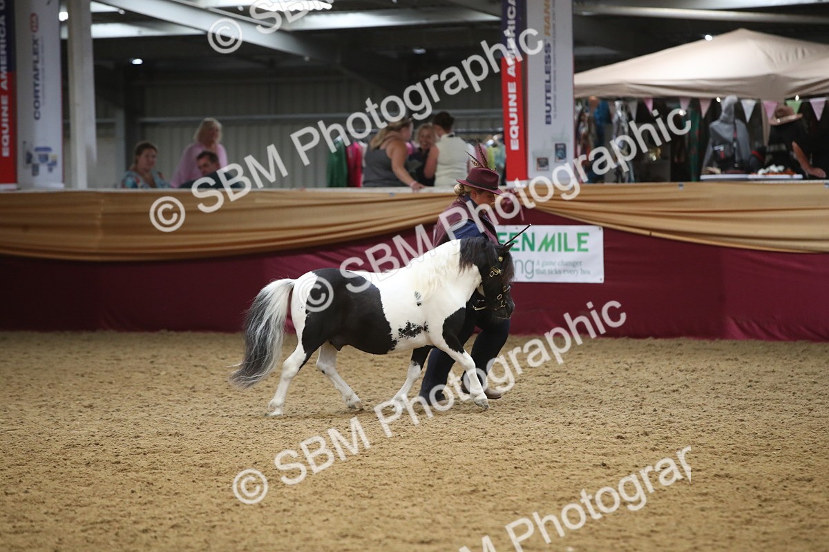 SBM_05720 - Class 9R - Regional IH Pre-Vet