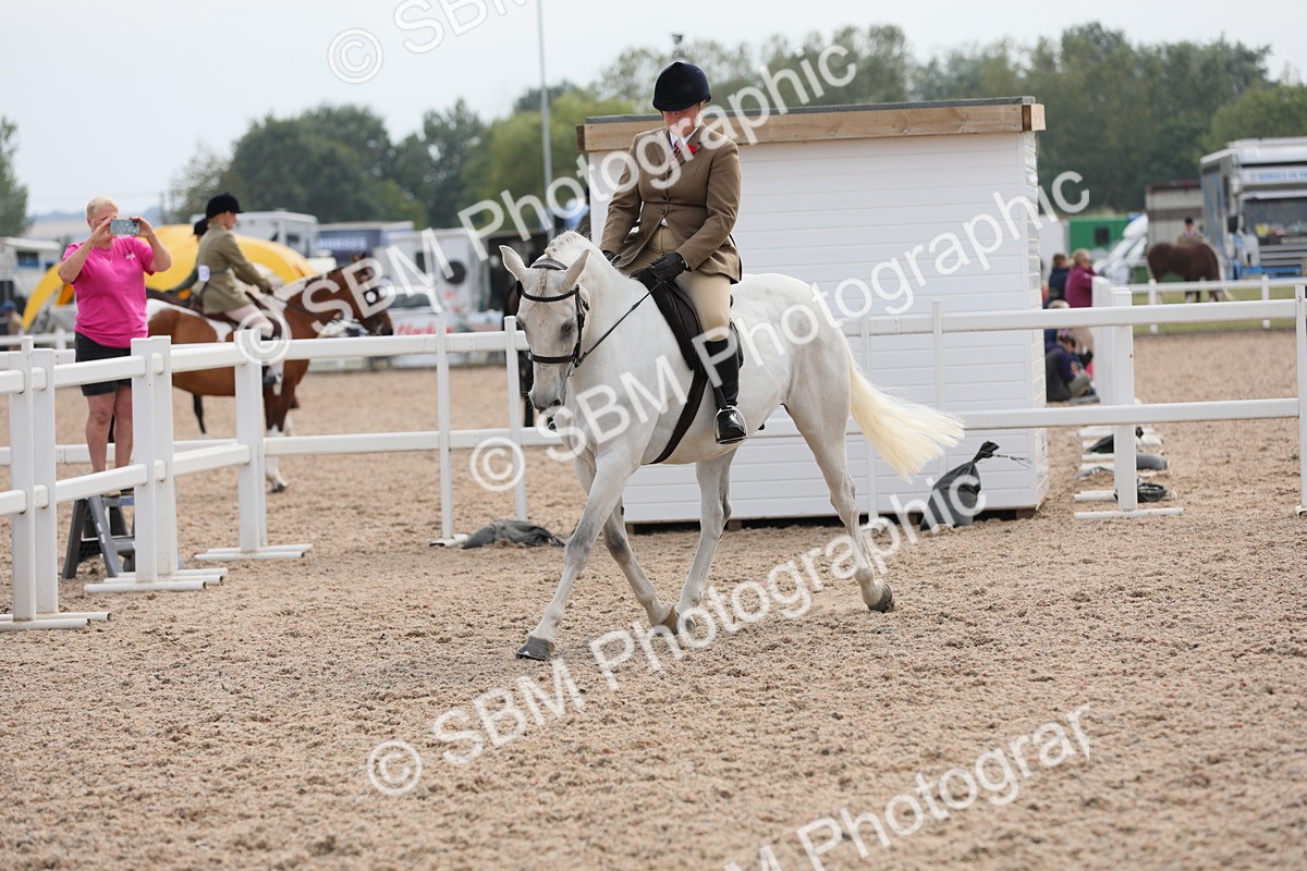 SBM_16994 - Class 314 Family Horse/Pony