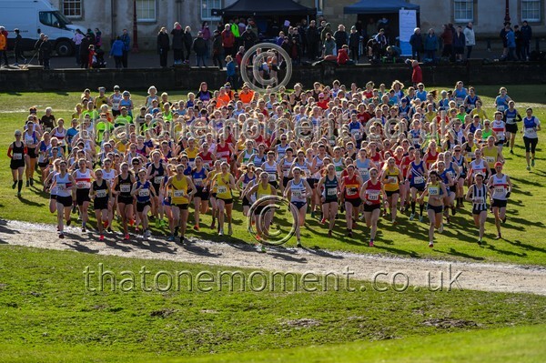 Falkirk25-929610 - Senior Women Set One