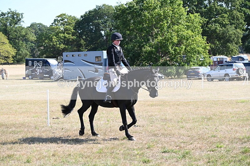 WJ6_7521 - Class 34 Judges Choice