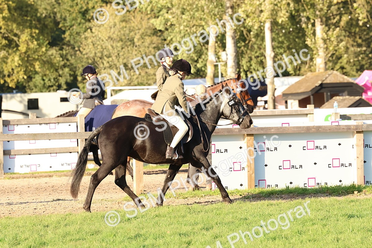 SBM_53068 - S29 - Mature Veteran Ridden