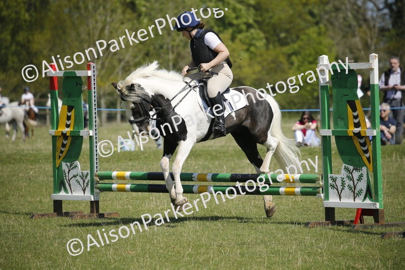 20250427-2229 - Class 13 - Novice Jumping 60cm