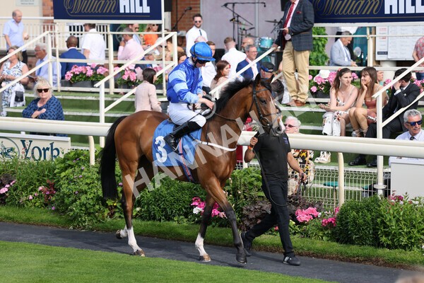 yr08072022r7-4 - Race 7 5.30pm Jigsaw Sports Branding Handicap