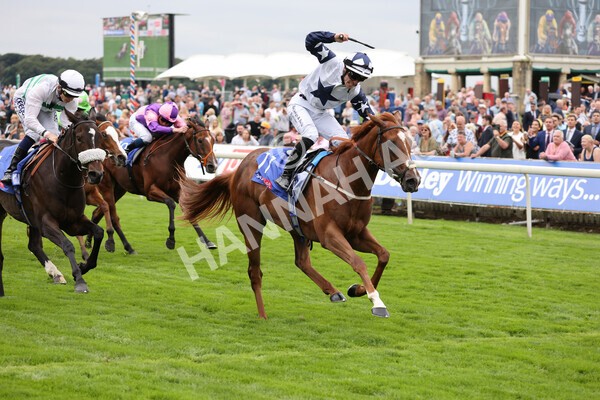 yr19082021r1-26 - Race 1 1.50pm Sky Bet Lowther Stakes