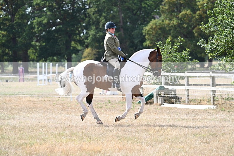 WJ7_7491 - Class 14 Ridden Coloured