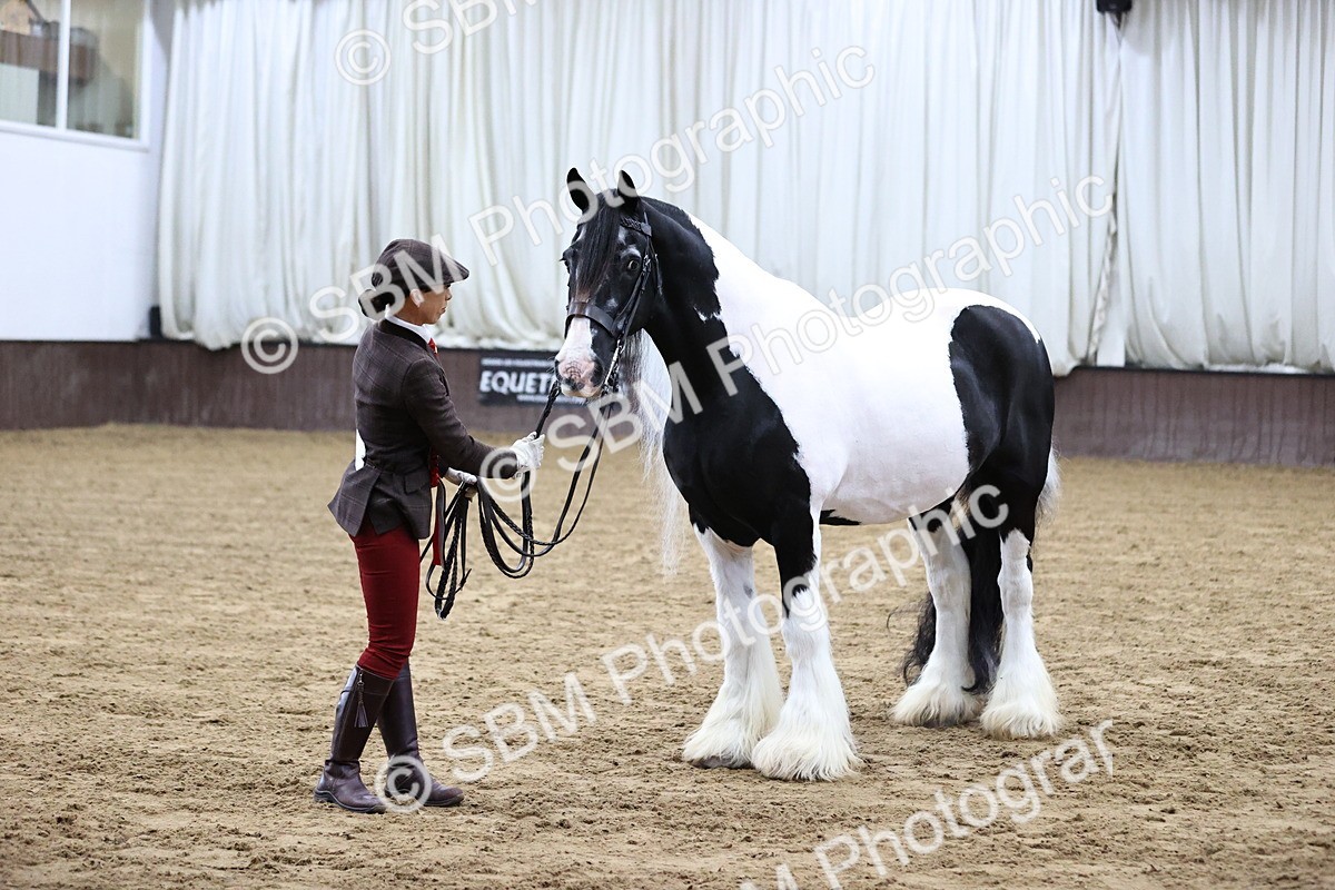 SBM_5684 - Class 40 - RESS In Hand Qualifier