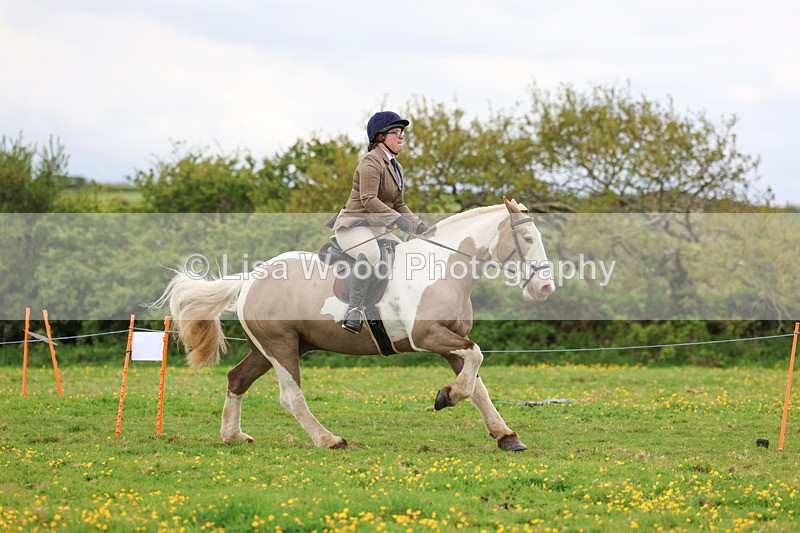 3E7A1008 - Class 6: Ridden Coloured