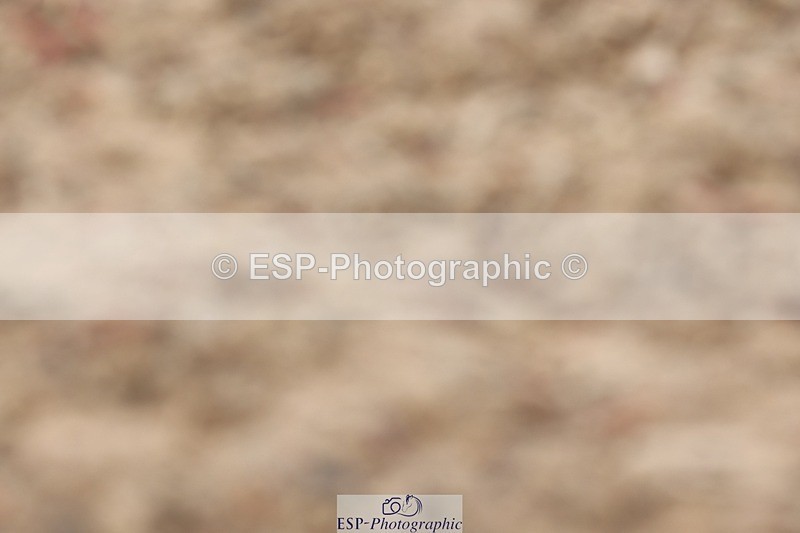 250622-151211-16840 - Cls 53 Medium 5, 14.50 to End