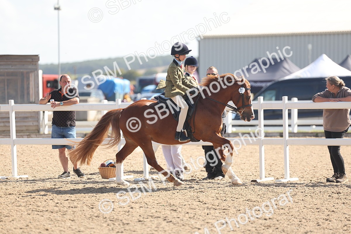 SBM_23079 - Class 806 - Young Rider 10ry and Under
