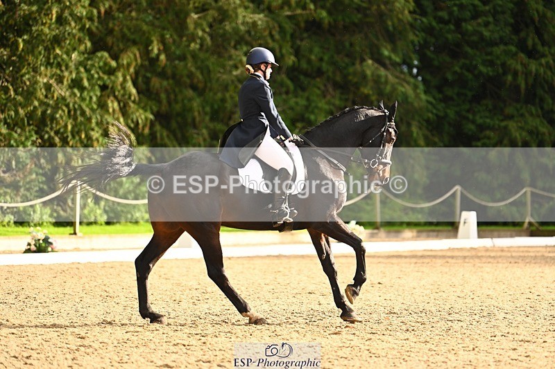 231021-153547-20901 - 259-BOSTON.IV-Rosie.Thomson-DR