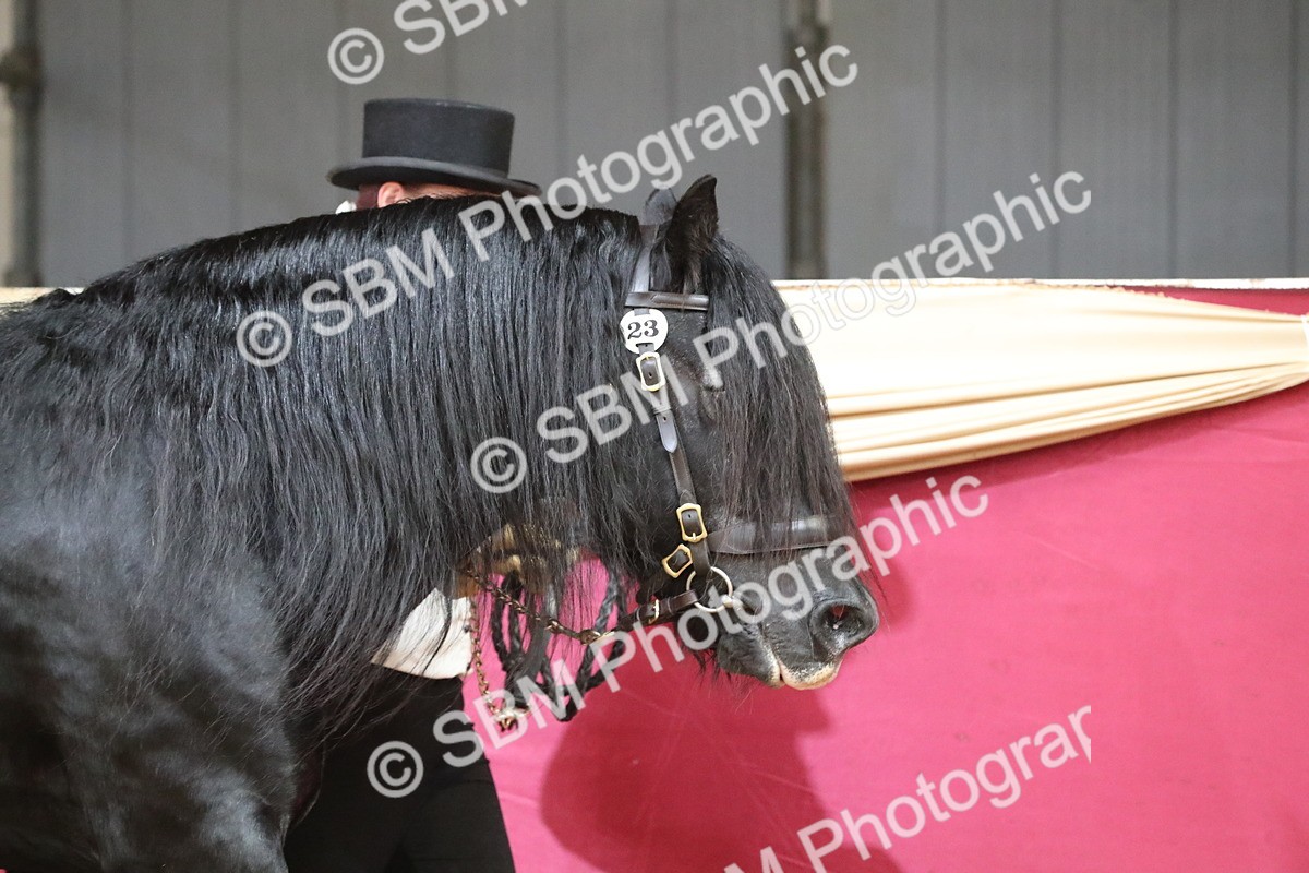 SBM_15096 - Class 501 M&M IH Supreme Final