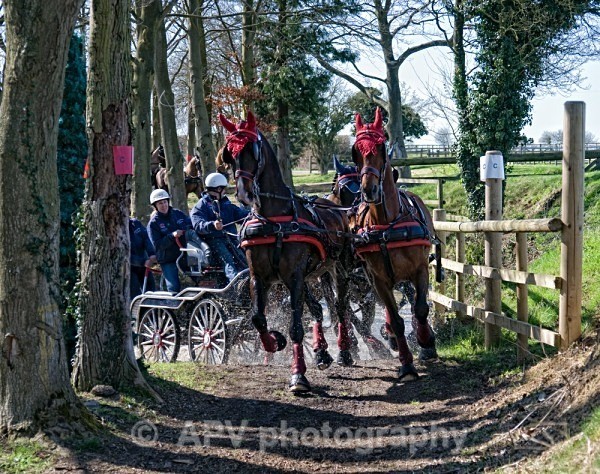 _DSC8958sml - Ashfields Carriage & Polo Club