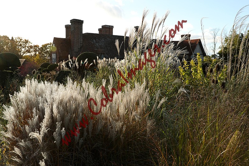 11 - Great Dixter, early November 2020