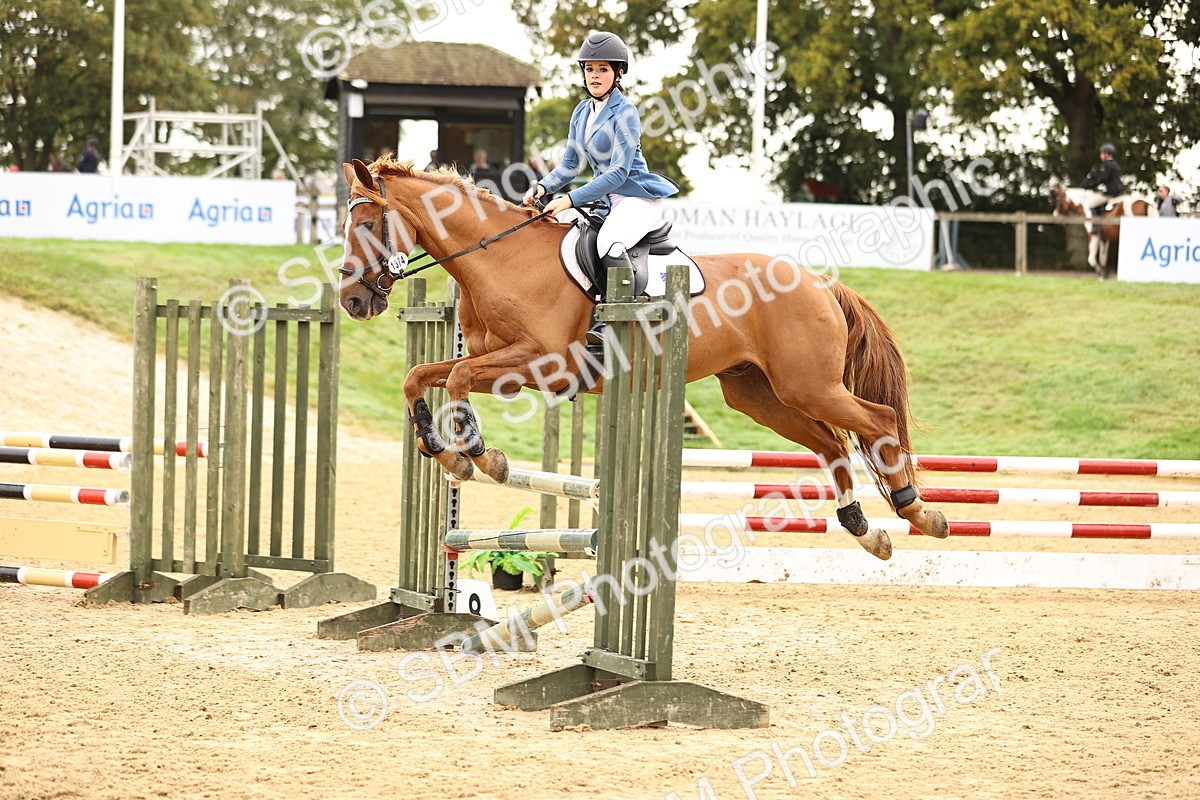 SBM_58533 - J41 - Grand Tour Horse & Pony 95cm