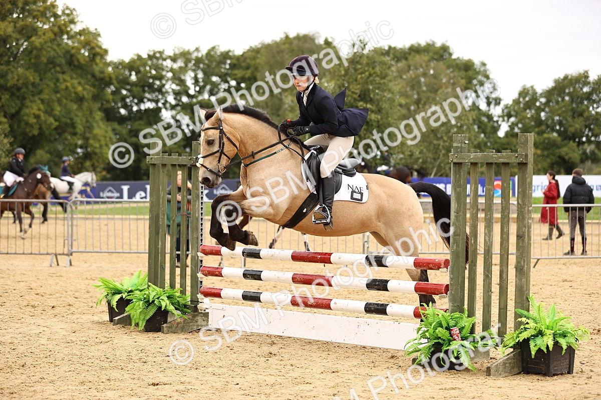 SBM_66553 - J17 - Junior Pony 80cm Championship