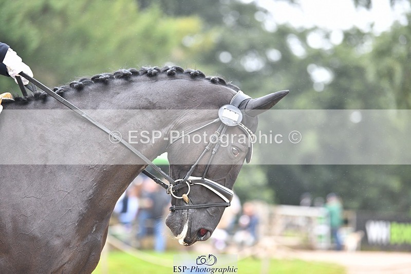 230812-103333-03402 - Cls 6 Novice Silver 10.30 to 11.55 break