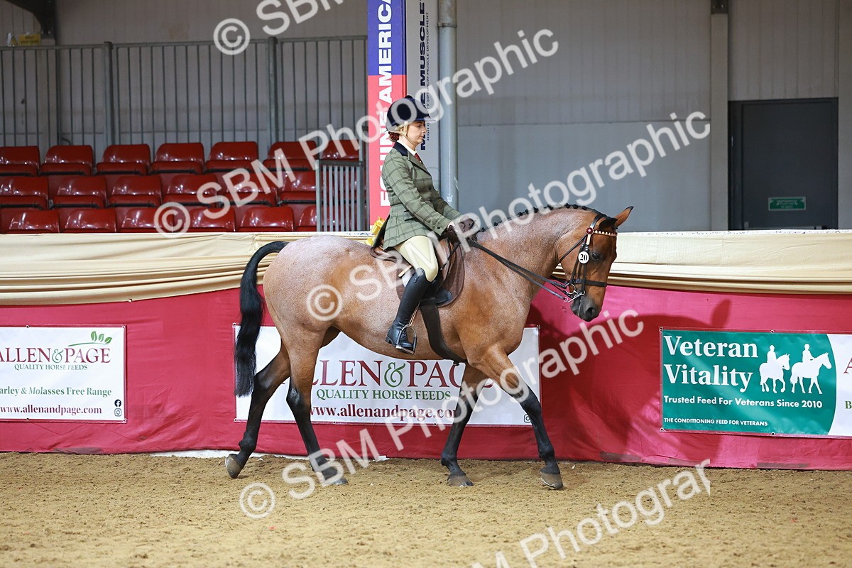 SBM_09344 - Class 102 - HOYS Veteran Qualifier - Ridden Veteran