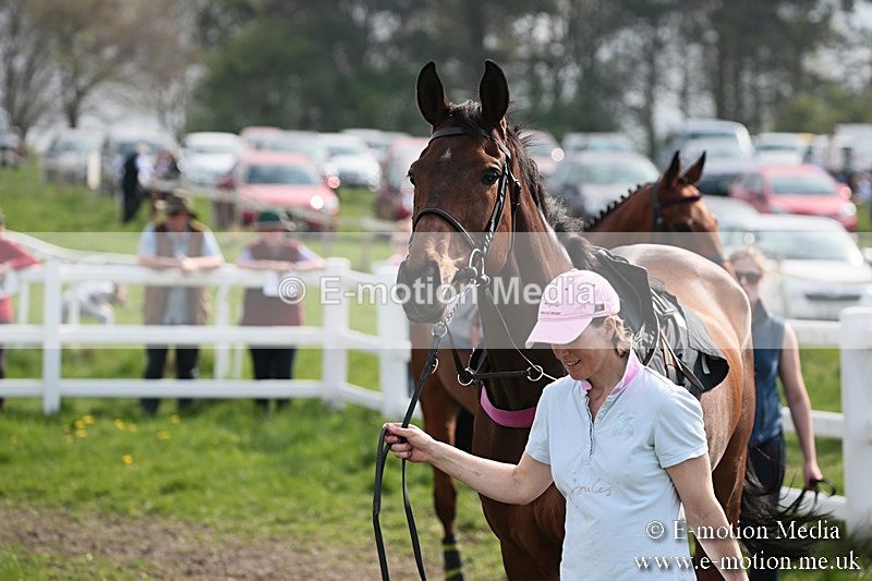 PtP 210418 295 - South & West Wilts Point-to-Point Larkhill 21/04/18