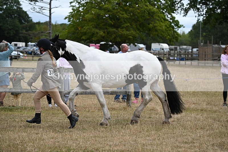WJ6_8389 - Class 10 Coloured in Hand