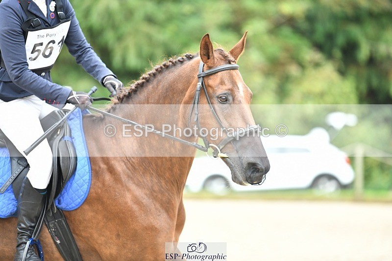 230827-110230-23370 - SJ 10 to 11.30 coursewalk