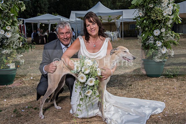 NMH-743 - Sonja and Steve's Wedding 21/7/2018