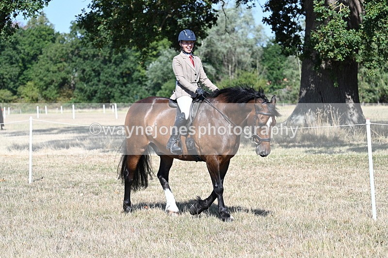 WJ7_3508 - Class 9 Mountain & Moorland Ridden