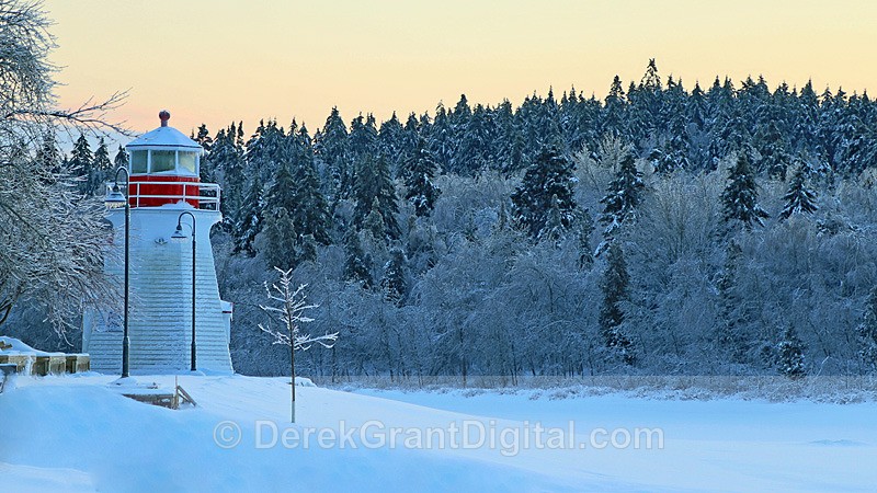 Frosty Vista - Winterscape