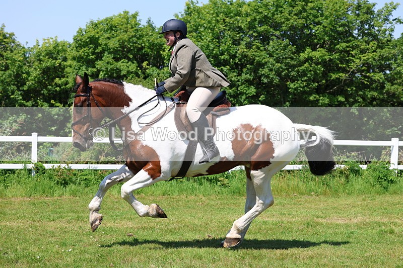 3E7A7276 - Class 30: Novice Working Hunter