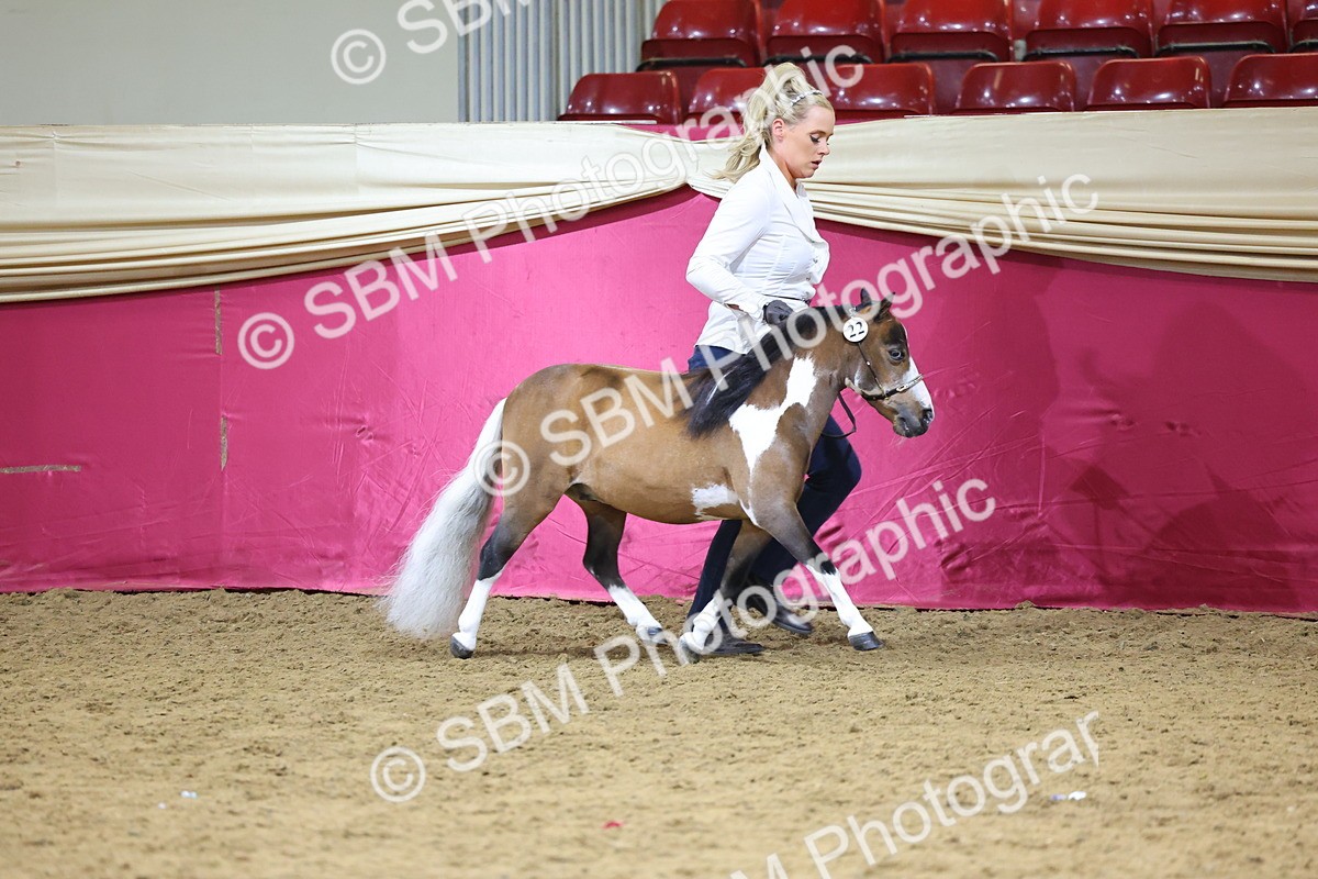 SBM_18675 - Class D IH Pony Champ