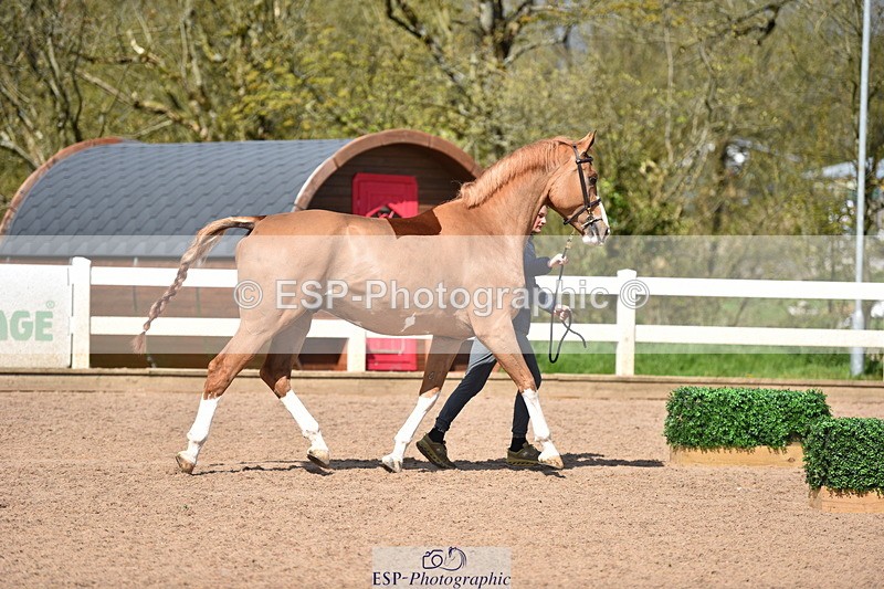 240417A-144342-00624 - 2pm to 3pm