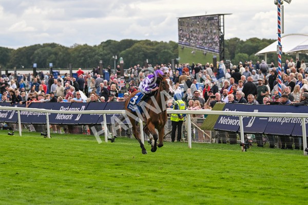 210825-Race 4-Minnie Hauk-4702 - Race 4 3.35pm Pertemps Network Yorkshire Oaks