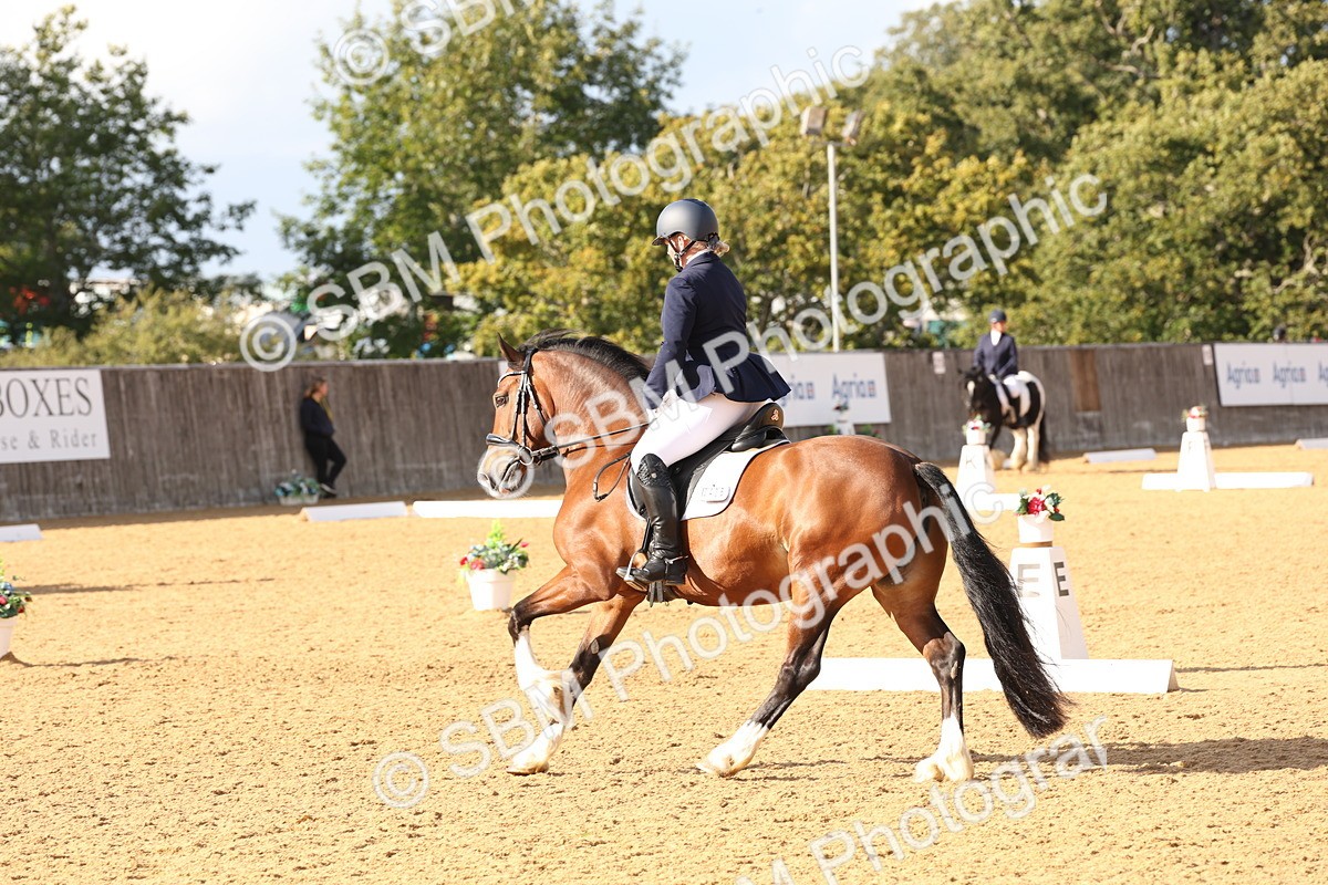 SBM_27022 - D17 - Grand Tour Championship Novice 3