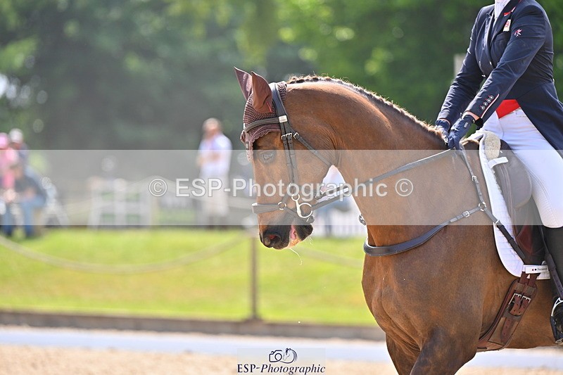 250523A-151831-07824 - A-055-Annabel.Finston-BRAVEHEART.B