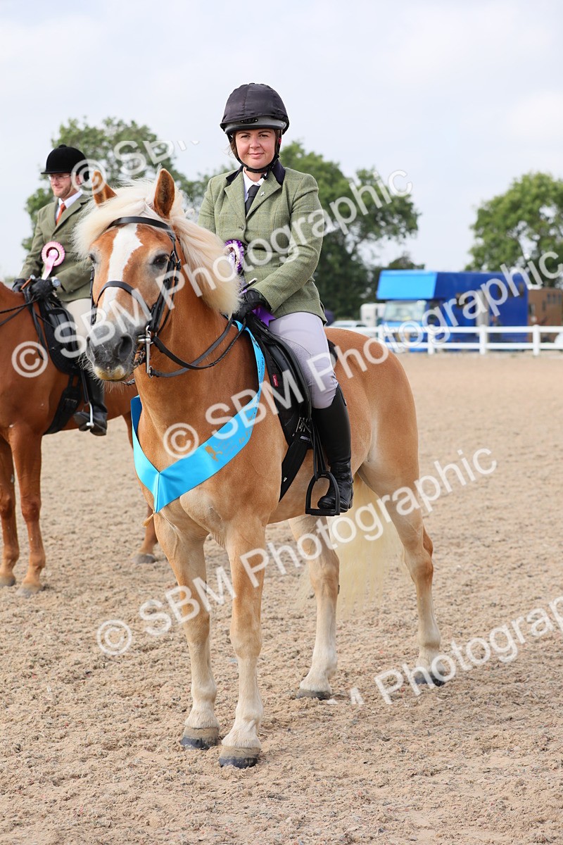 SBM_11499 - Class 305 Ridden Foreign Breeds- Pure Bred
