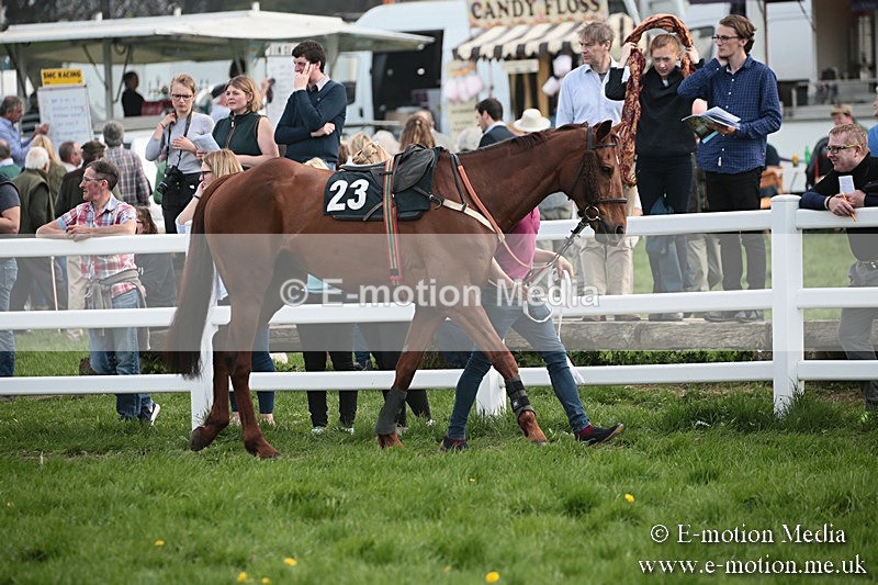 PtP 210418 306 - South & West Wilts Point-to-Point Larkhill 21/04/18
