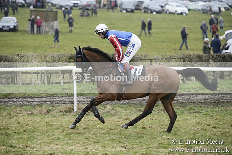 PtP 020418 -110 - Old Berks Point-to-Point Races Easter Monday 02/04/18