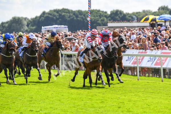 290723-Race 2-Aberama Gold-0428 - Race 2 2.40pm Sky Bet Dash Handicap