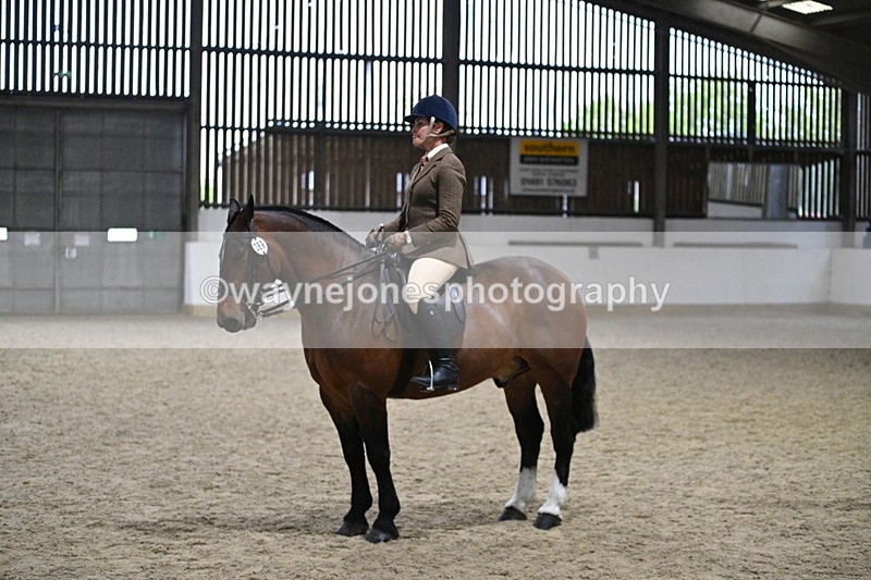 WJ7_3967 - Class 17 Ridden Cob