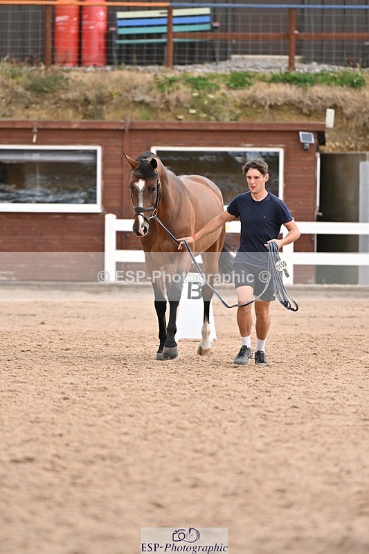 250716-145525-01505 - Trot Up 2.30 to 3.30