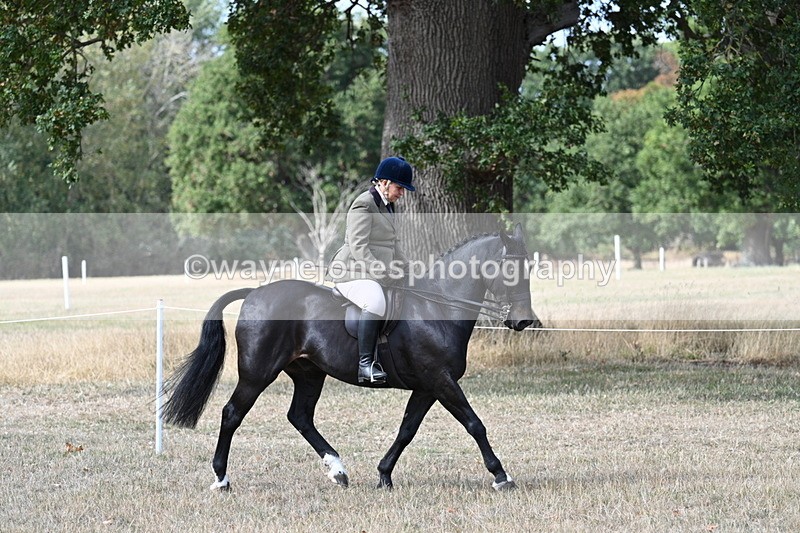 WJ7_6098 - Class 13 Ridden Veterans