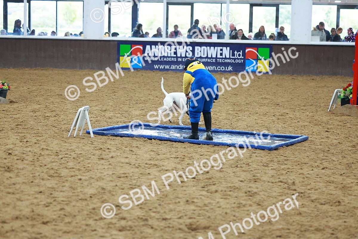 SBM_002297 - Class 3 - Horse & Hound (60cm)