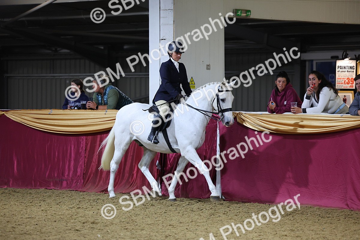 0B8A4450 - Class O Ridden Show Horse Champ