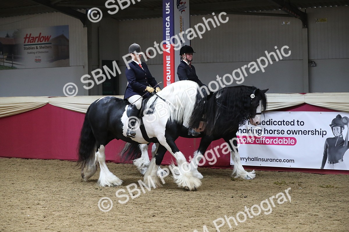 SBM_13639 - Class 109 Ridden Pairs - Section B