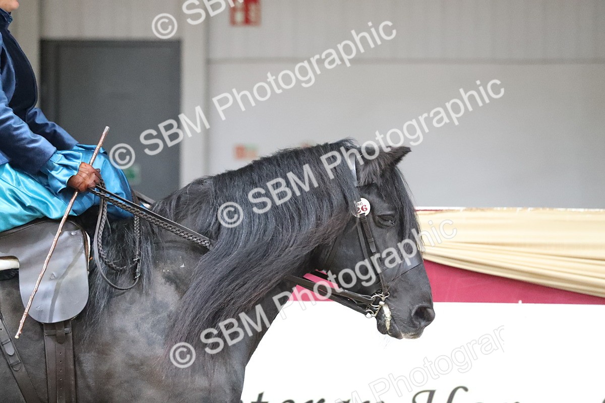 SBM_11515 - Class 105 Ridden Costume- Side Saddle
