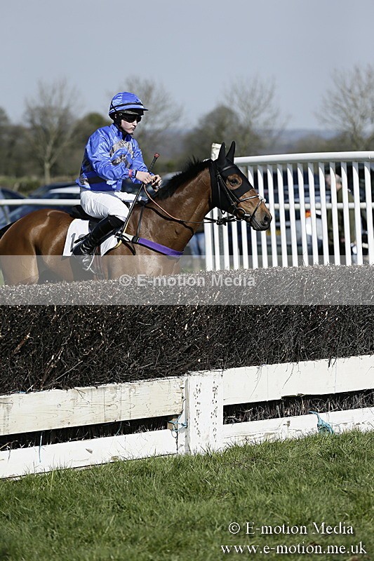 PtP 260317 153 - Mendip Farmers Point-to-Point Ston Easton 26/03/17