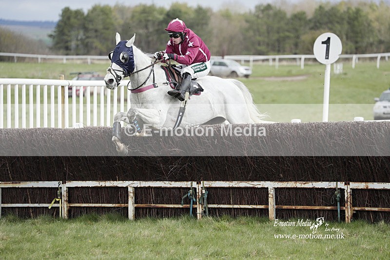 PtP 260323 0409 - New Forest Hounds Point-to-Point Larkhill 26/03/23